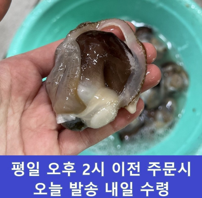 [생물] 완전손질 여수 새조개 순살 초코새조개, 1개, 1kg