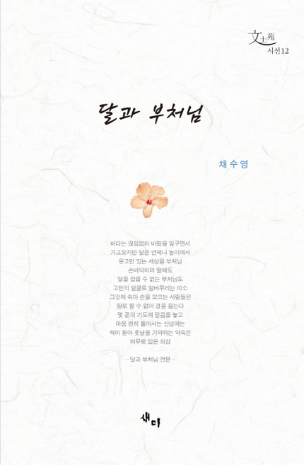 달과 부처님, 새미, 채수영 저