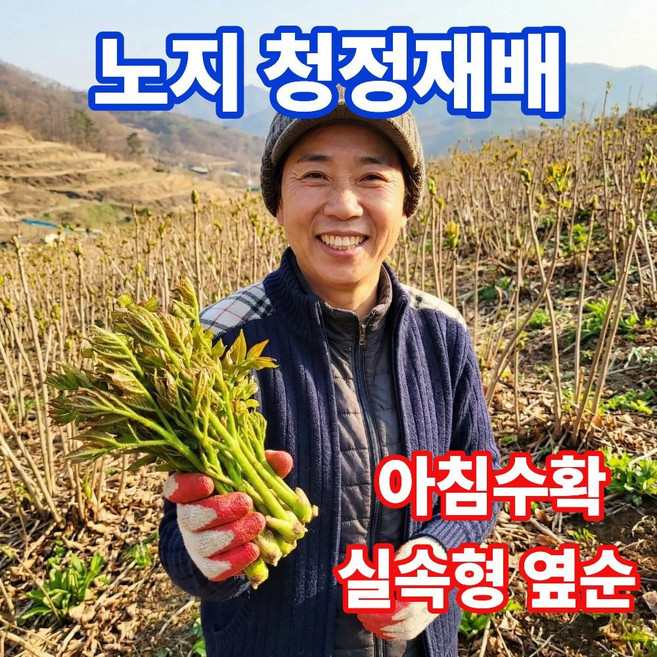 더맛곳간 국산 자연산 참두릅 순 나물 산두릅 순창 고창 실속형 옆순, 1kg, 1개