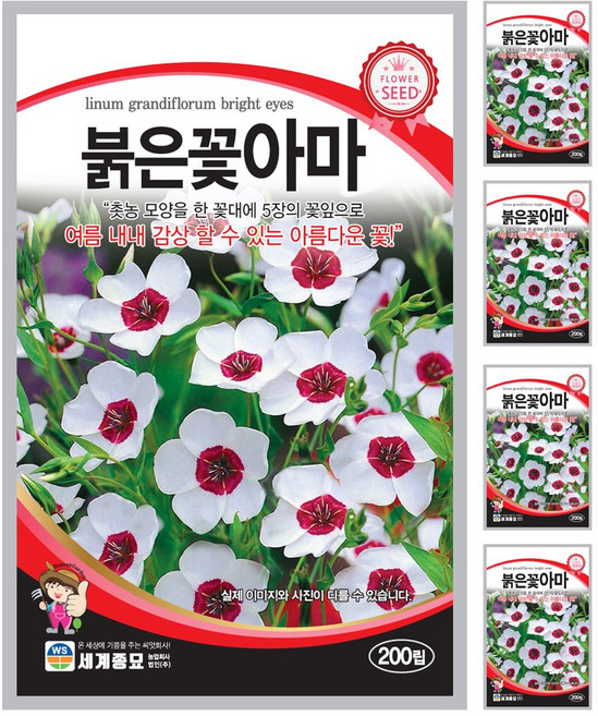 붉은꽃아마 씨앗 꽃씨 200립 꽃씨앗 세계종묘 모칸도, 5개
