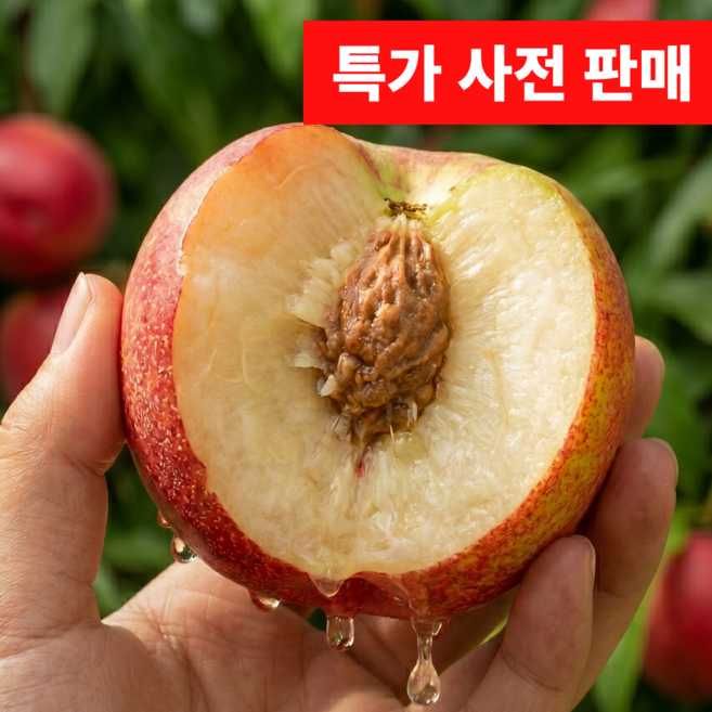 9위 - [특가예약판매] 입에서녹는 고당도 신비복숭아 중과 국내산100%, 1박스, 1kg