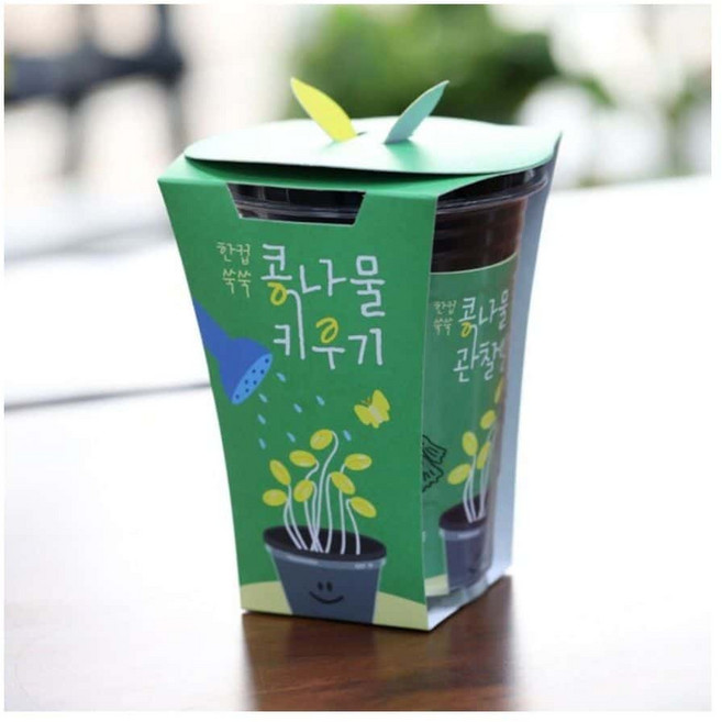 콩나물시루 플라스틱 발아통 상자 새싹 화분 숙주재배, 1개