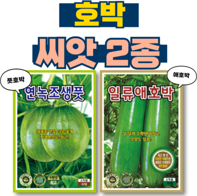 호박씨앗 2종 풋호박씨앗+애호박씨앗 호박 키우기 채소 종자 텃밭, 2개