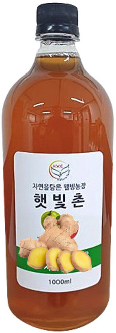 햇빛촌 자연발효 음용 수제 생강식초, 2개, 500ml