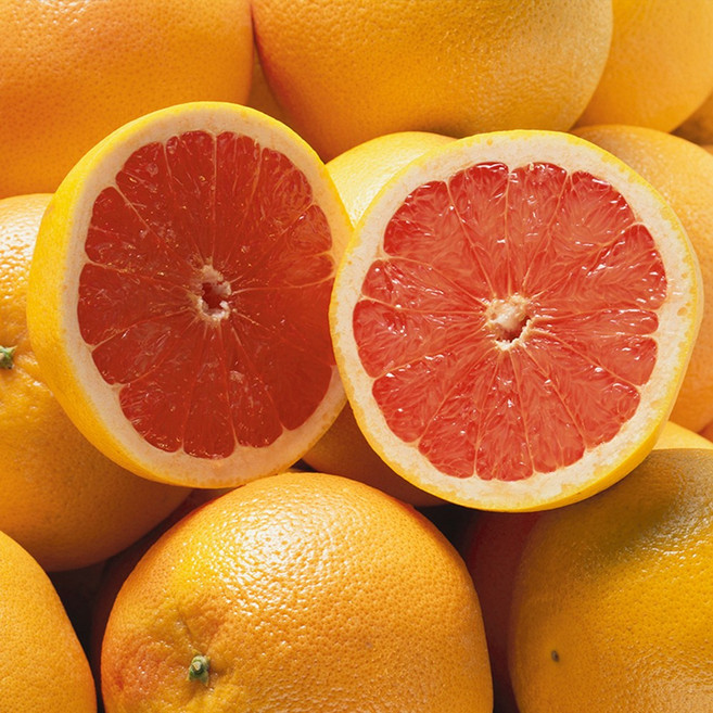 고당도 프리미엄 카라카라 오렌지, 10개, 중과 2kg 내외