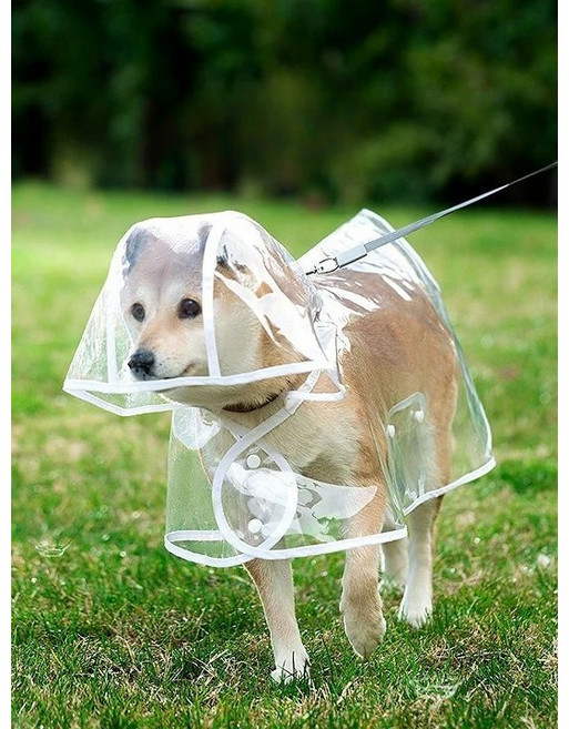 와이낫펫 강아지 투명 우비 비옷 레인코트, 1개, 화이트