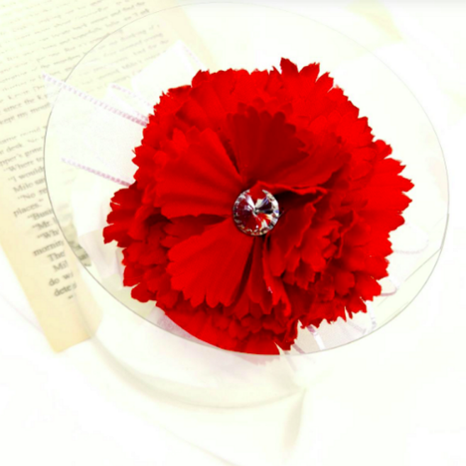 2개세트 큐빅 카네이션 브로치 어버이날 스승의날 선물