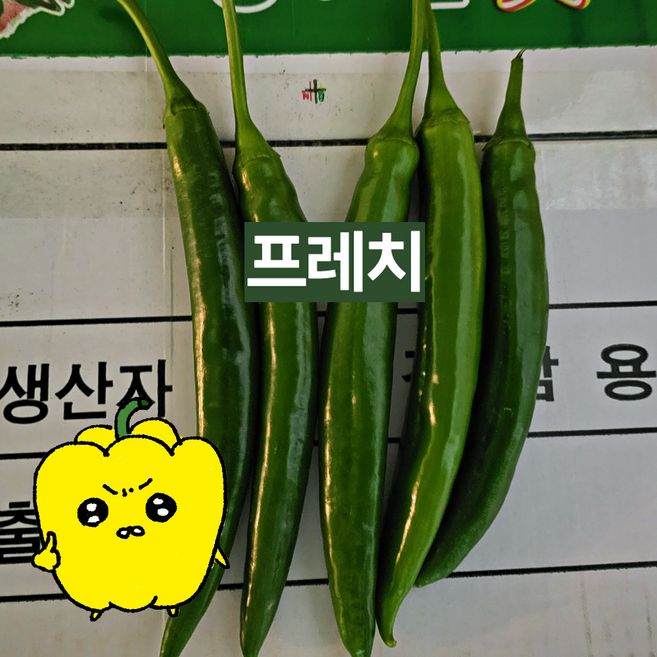 프레치 국내산 롱그린 고추, 1kg, 특, 1개