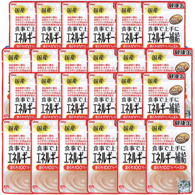 아이시아 건강캔파우치 고양이간식 파우치, 40g, 24개, 가수분해 연어