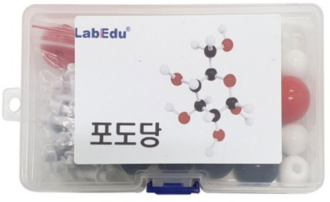 포도당 분자구조모형조립세트