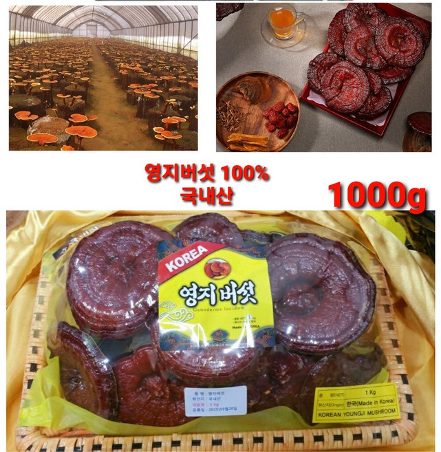 영지버섯 100% 국산 (고급특품 선물용 포장 ) 1kg