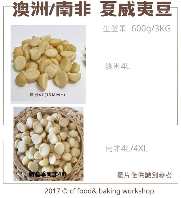 生夏威夷豆 澳洲4L / 南非4XL 剖半 原味堅果 600g, 1個, 澳洲夏威夷豆4L(越南剝殼)600g