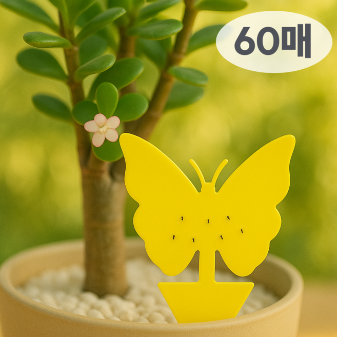 올릭 초파리 트랩 날파리 파리 끈끈이, 60개, 3g