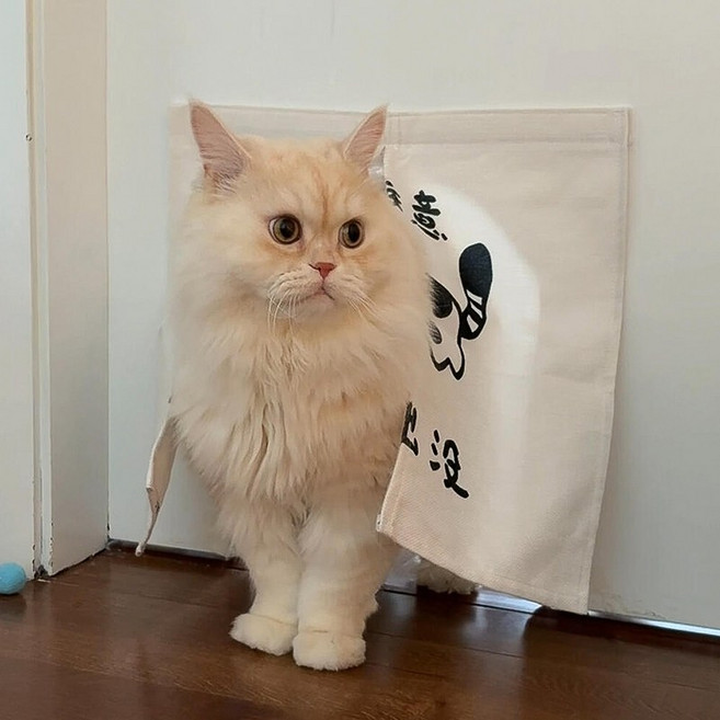 귀엽다 고양이 개구멍 패브릭 출입문 가리개 강아지 커튼식 문, 20x20cm, 20x20cm × 패브릭 개구멍 × 20x20cm ×