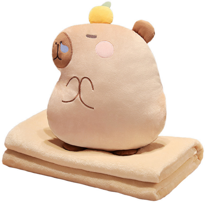 카피바라 멀티 담요 쿠션, 1.0M*1.7M, A(전체 길이 35CM)