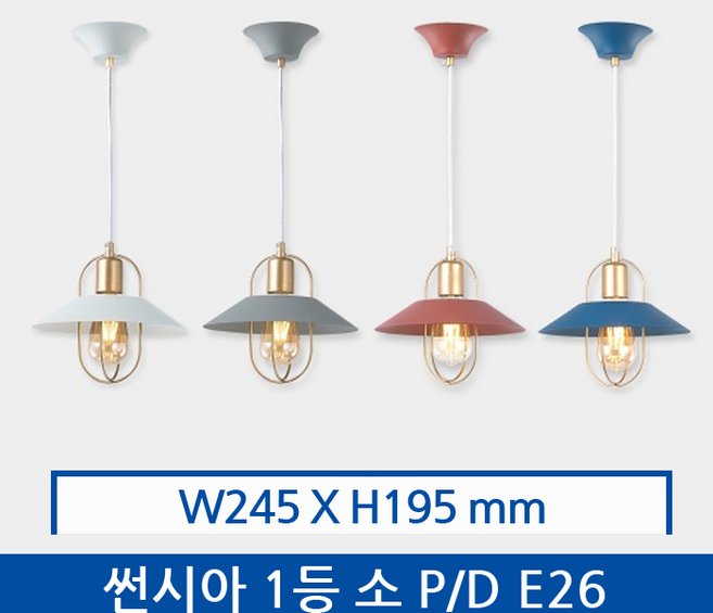 썬시아 1등 소 P/D, 버건디