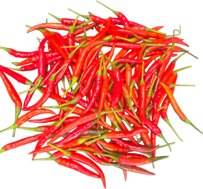 베트남 고추 /태국고추 100g /아시아 농장 송소희, 1개