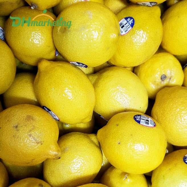 썬키스트 콤보 레몬 특대과 30입 4.2kg (2개 사면 5입 증정), 단품, 단품
