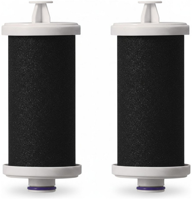 쿠쿠 인스퓨어 피쳐형 정수기 필터, 정품CPWpFs-c10N, 2개