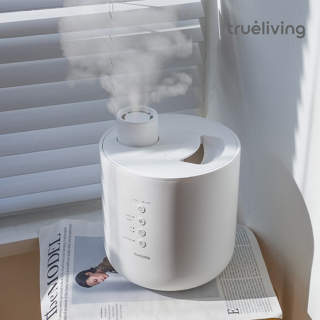 트루리빙 가열식 스팀 통세척 대용량 가습기 TL-HU0240W, (화이트)