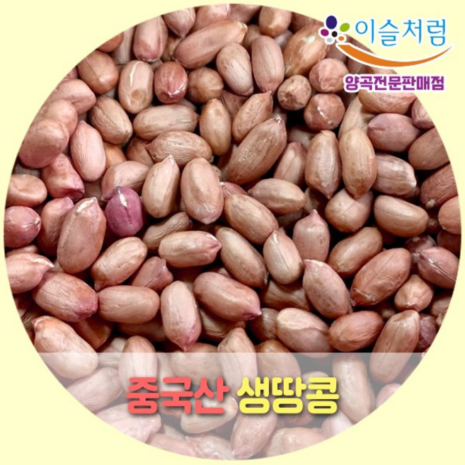 (2025년산)이슬처럼 중국산 햇땅콩 생땅콩 1kg, 1개