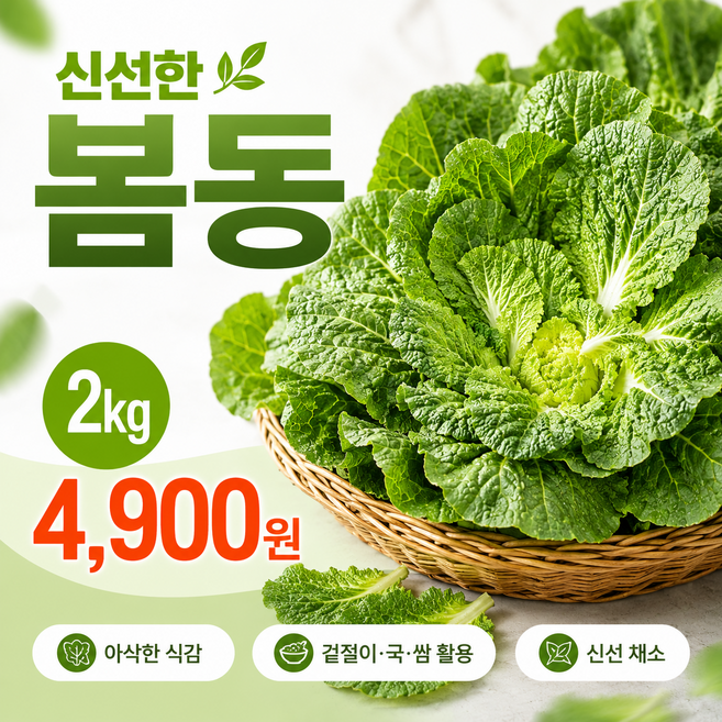 당일경매 국내산 팔공 산봄동 신선한 채소 경매후바로발송 겉절이 비빔밥용 식당용, 1개, 2kg