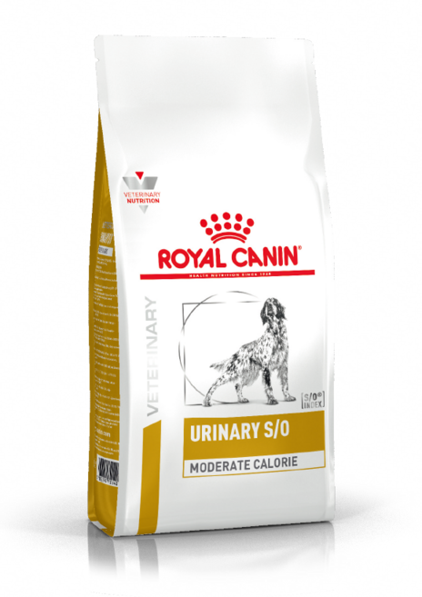 독 유리너리 S/O 모더레이트 칼로리 건사료 1.5kg / 로얄캐닌 독 유리너리 모더레이트 / 모더라이트 / 방광결석 / 요로결석 처방식 / 처방사료 + 동물병원 전용 유산균, 1개, 유리너리+결석