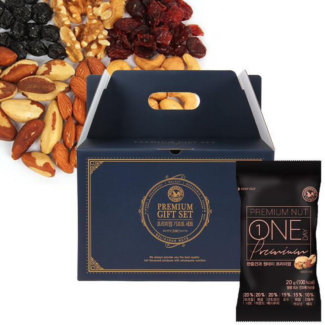산과들에 원데이프리미엄 100입 하루견과류 선물세트, 100개, 20g