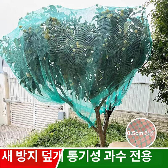 과수원 방조망 새그물망 메쉬 블루베리 조류방지 사과나무, 3m 폭 3m 길이, 1개