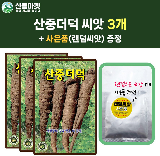 산들마켓 산중더덕 씨앗 3g 더덕씨 약초 3개+랜덤 씨앗 1개 증정