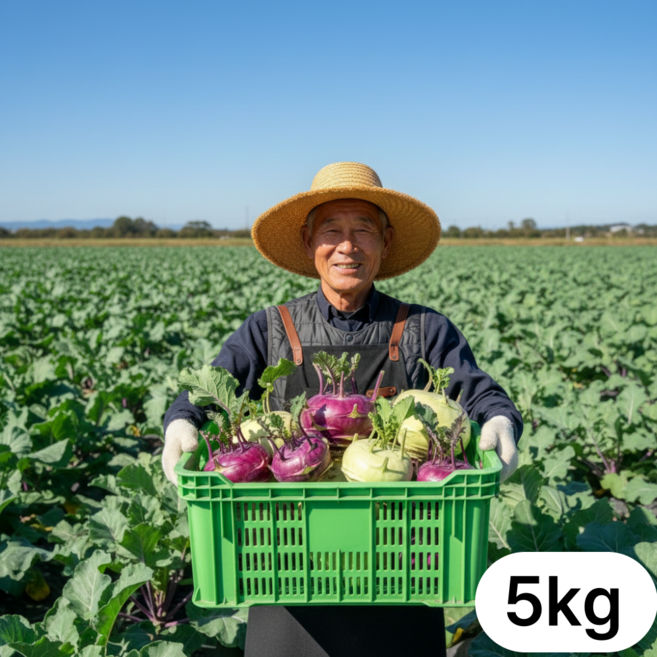[고니네농수산] 믿고 먹는 국내산 명품 콜라비, 5kg, 1박스