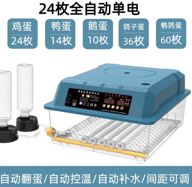 自動翻蛋孵蛋器 智能控溫補水家用孵化機, 1個, 智能全自动【24枚单电】