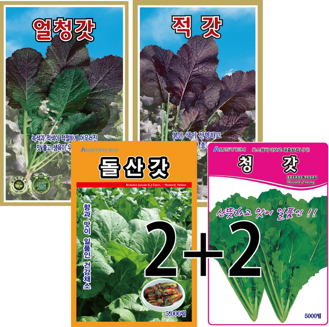 [주주씨앗] 갓 씨앗 4종세트 돌산갓 청갓 적갓 얼청갓 종자 씨, 1개