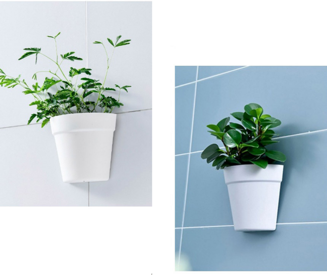 화분갈이 인테리어 벽걸이 화분 모던스타일 미니정원, 베이지, 1개