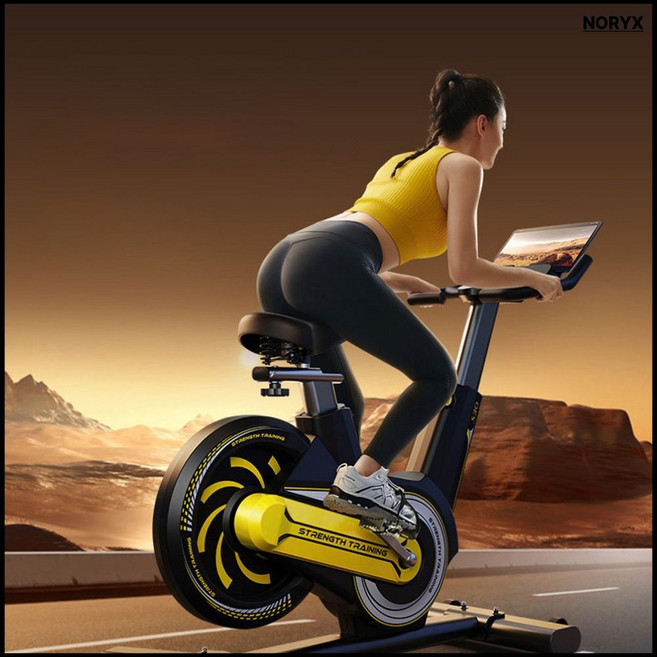NORYX 마그네틱 저항 저소음 가정용 실내 자전거 전문가용 스피닝 운동기구 실내 바이크, 블랙, C