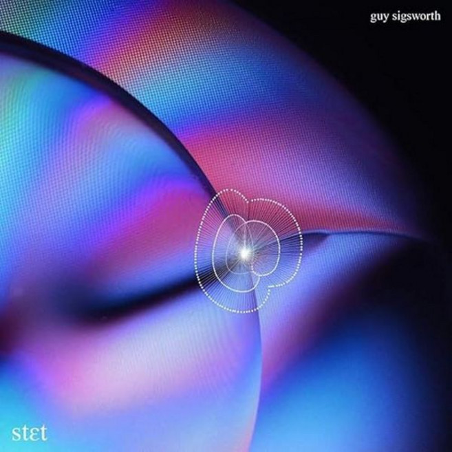 Guy Sigsworth Artist Vinyl 비닐 LP 레코드 STET 미국 발송