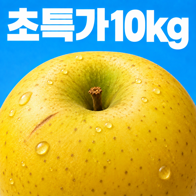 [재구매1위] 제철과일특가 시나노골드 사과 못난이, 1박스, 시나노못난이 10kg