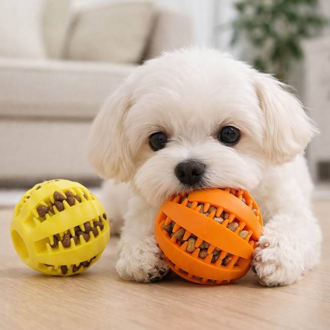 앙플러스 강아지 간식볼 스낵볼 노즈워크 공, 1개, 옐로우+오렌지
