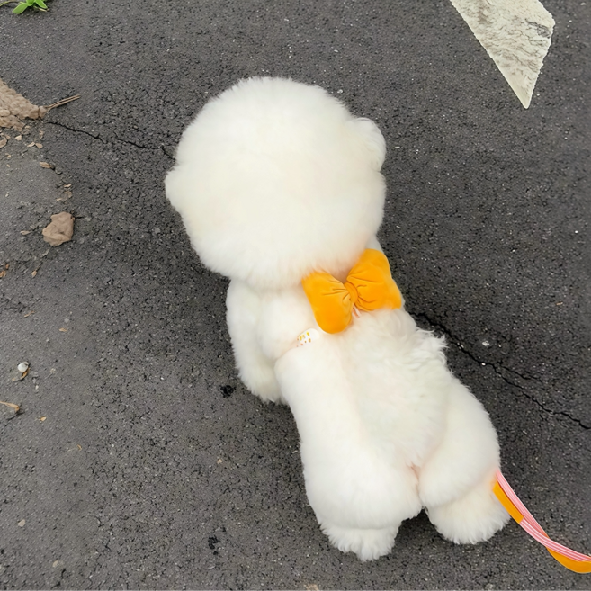 Coablu 강아지 리본 하네스 베스트 타입 앞섬방지 리드줄 세트 소형견 가슴줄, 1개, 옐로우