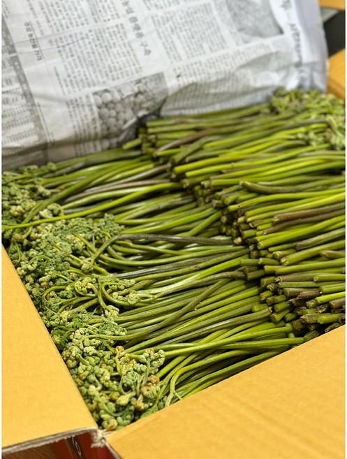 (서천특화시장) 26년 햇 국산 생고사리 4kg 산나물 날 고사리, 1개