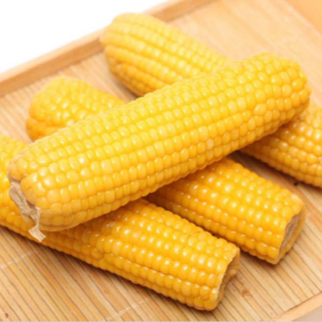 냉동 맛있는 찰옥수수 황찰(노랑색) 대 특대, 10개, 진짜 특대(18~20cm)