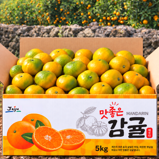 단독초특가 제철 12brix 초고당도 감귤, 1박스, 5kg