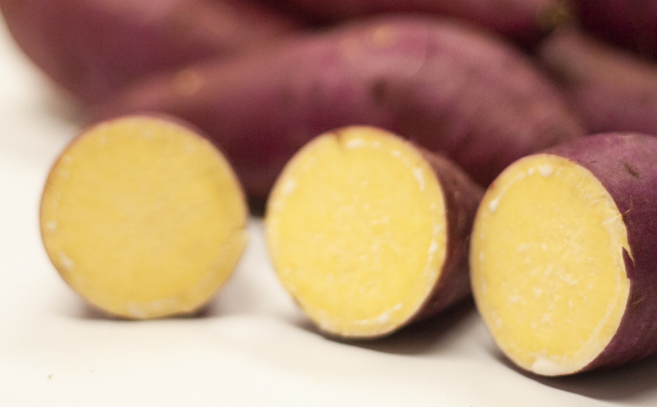 신품종 노랑밤고구마 (10Kg), 못난이, 1개