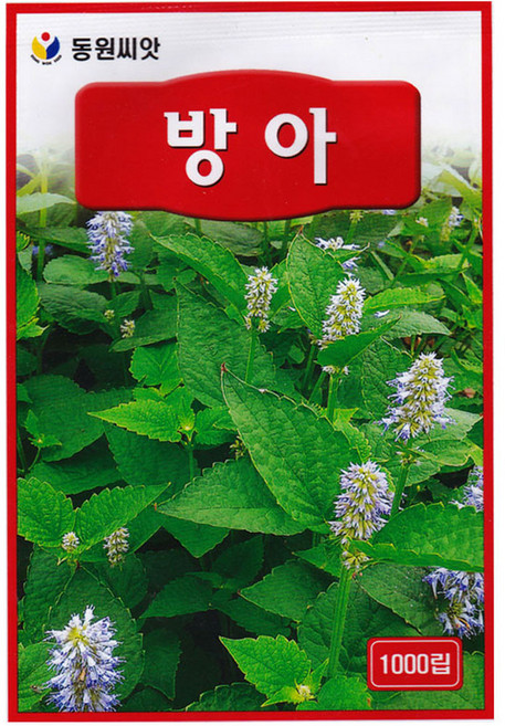 영농사 방아 씨앗 1000립 방아잎 방아씨, 2개