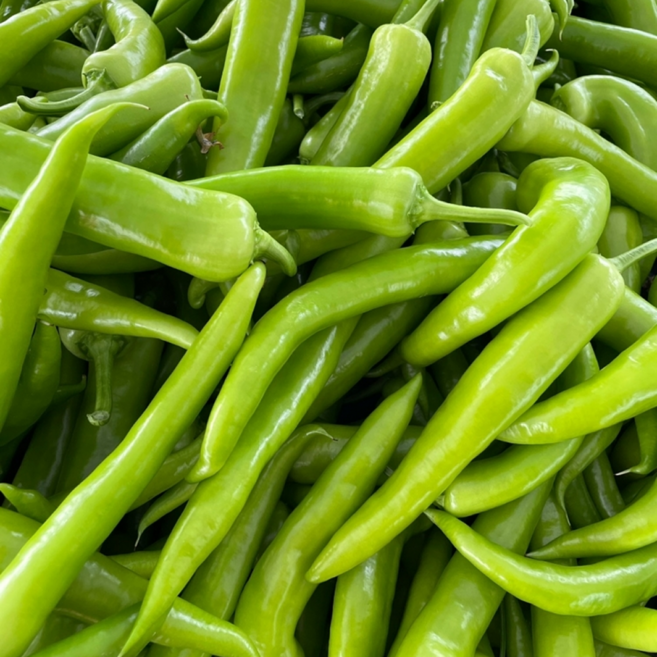 [GAP 인증] 국내산 혈당조절 당조고추, 1박스, 500g