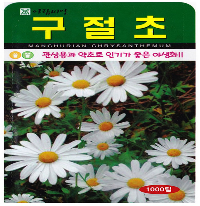 영농사 구절초 씨앗 1000립 꽃씨, 1개