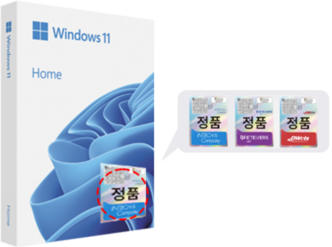 MS Windows 11 Home FPP(USB)