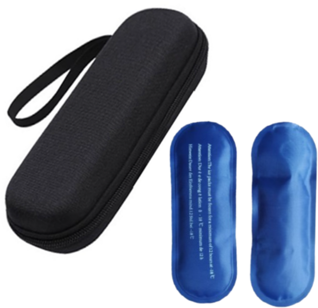 폴라리스원 보냉파우치 휴대용 소형 메쉬 가방 쿨러파우치 아이스팩포함, 1개, 퓨어블랙