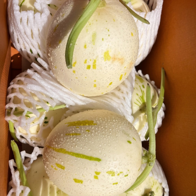함안메론 산지직송 고당도 특품 신선 당일수확, 1세트, 1kg