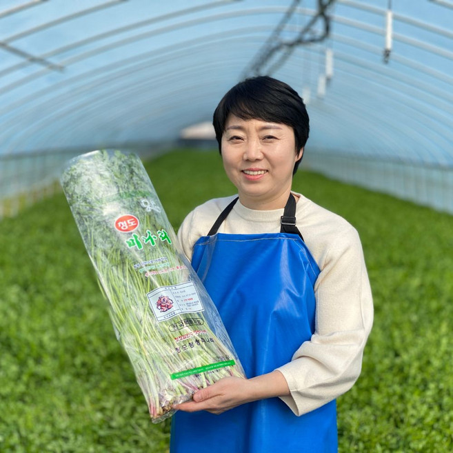 [농가 직배송] 향긋한 청도미나리 1kg, 1개